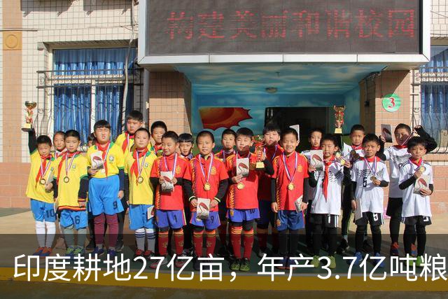 印度耕地27亿亩,年产3.7亿吨粮食,我国耕地19.18亿亩,年产多少